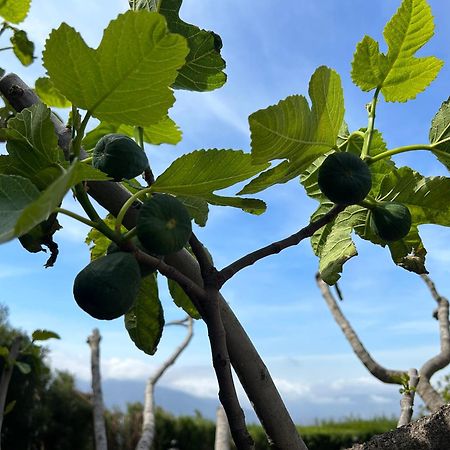 Villa Rustica En La Alpujarra - La Gualalla - Soportujar Carataunas Esterno foto